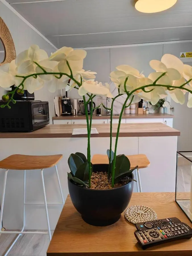 Beautiful 30M2 Tiny Home! 基督城 0*,  新西兰